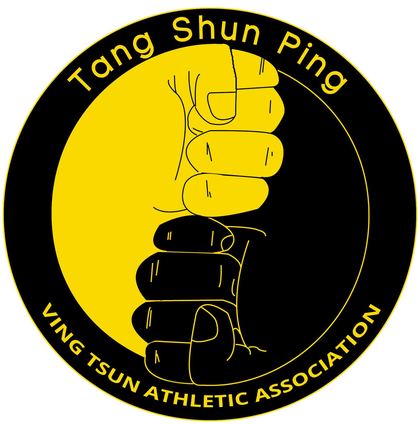 Tang Shun Ping Ving Tsun Belgium
